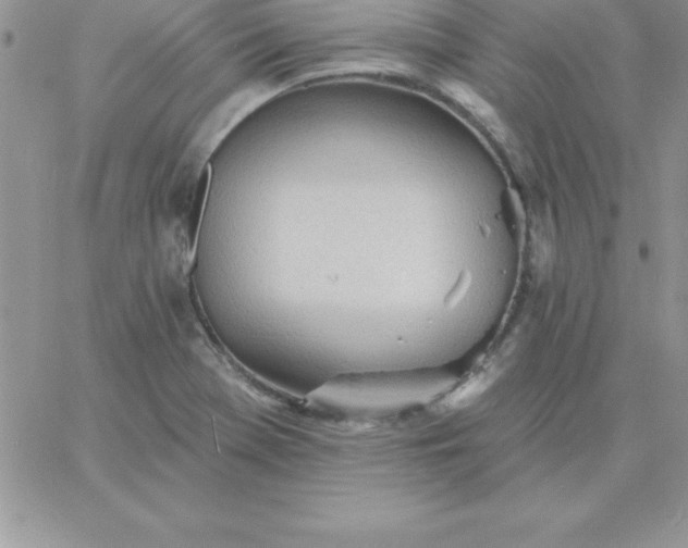 X0000060761369200511241718