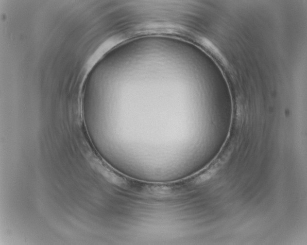 X0000060761370200511241718