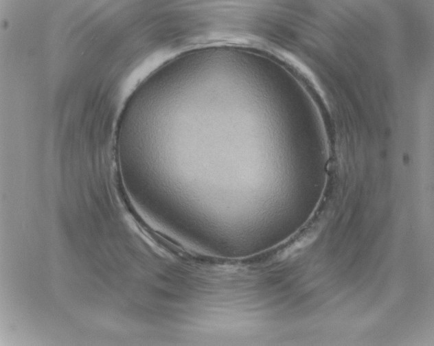 X0000060761373200511241718