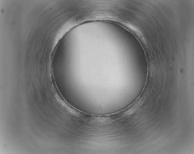 X0000060761374200511241717