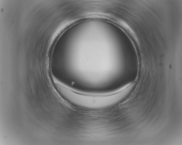 X0000060761376200511241717