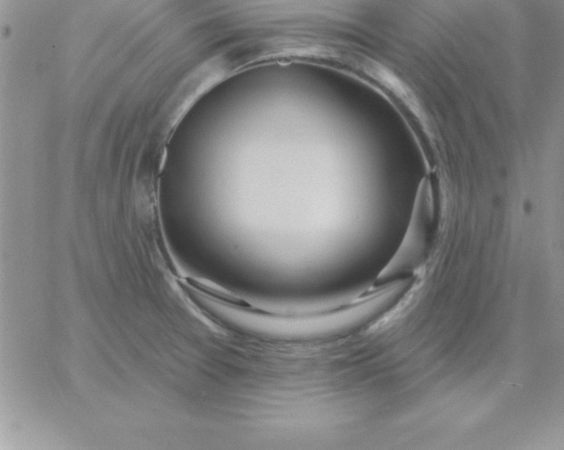 X0000060761377200511241717