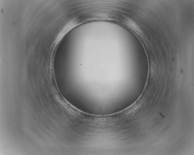 X0000060761378200511241717