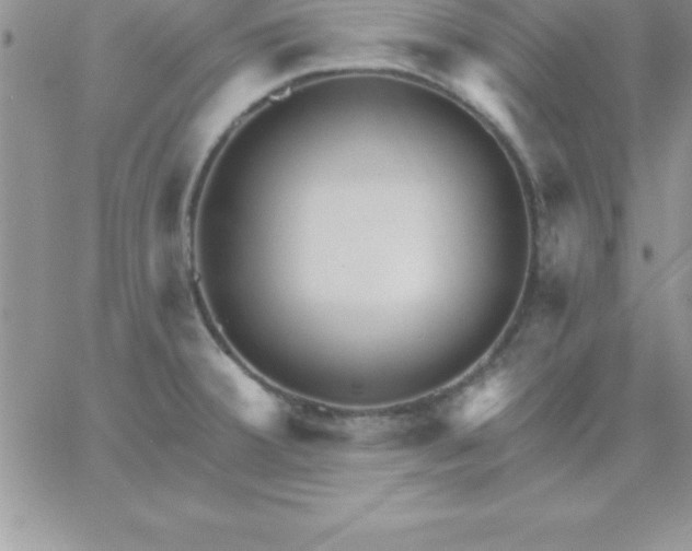 X0000060761380200511241717