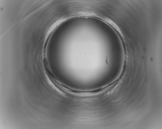 X0000060761381200511241717