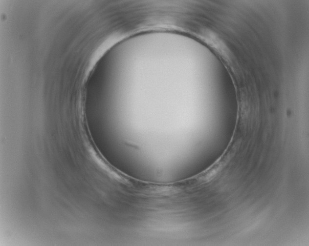 X0000060761382200511241717