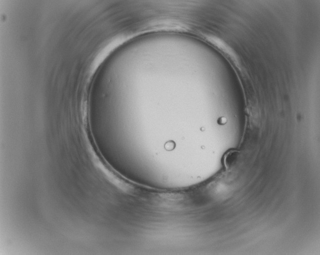 X0000060761383200511241717