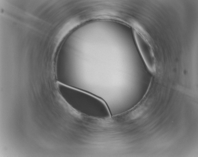 X0000060761384200511241717