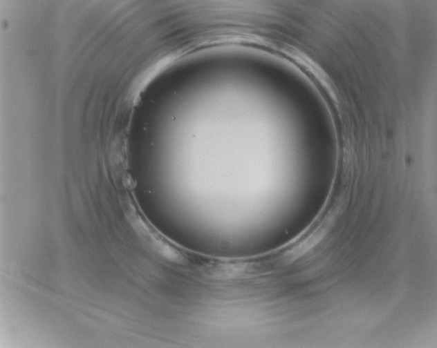 X0000060761385200511241717