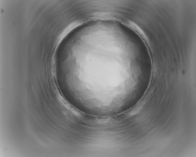 X0000060761386200511241717