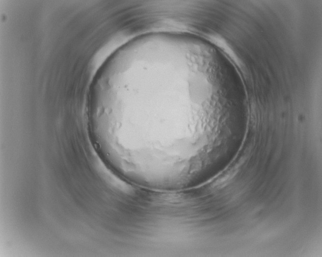 X0000060761387200511241717