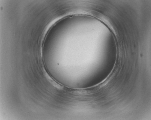 X0000060761388200511241717