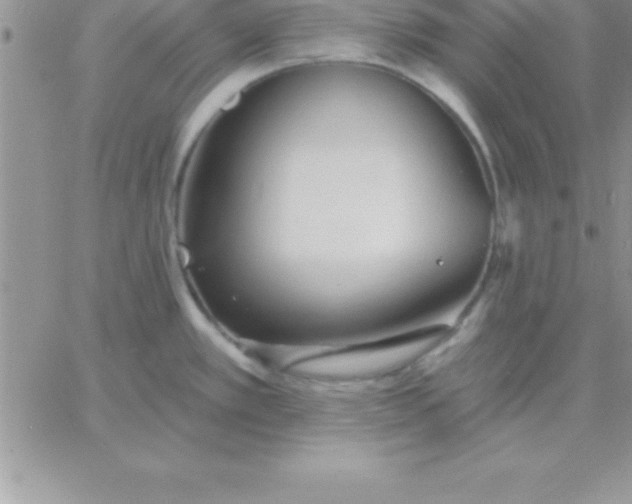 X0000060761389200511241717