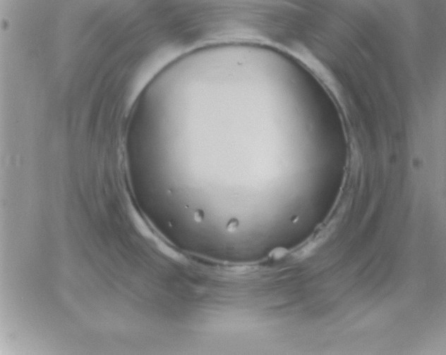 X0000060761390200511241717