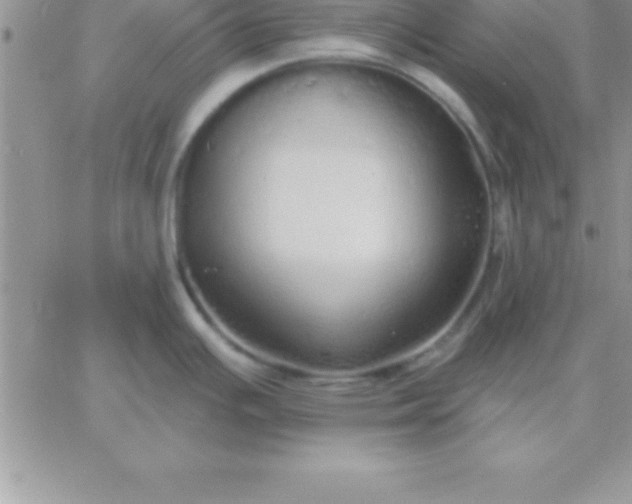 X0000060761391200511241717