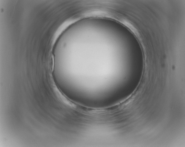 X0000060761392200511241717