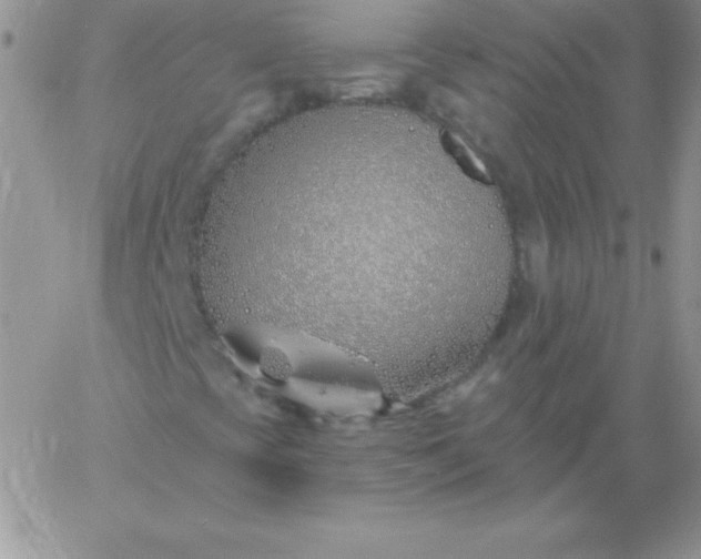 X0000060761393200511241716