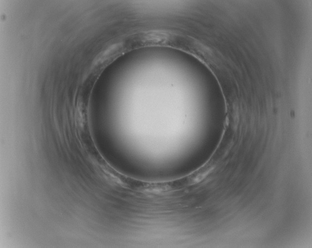 X0000060761394200511241716