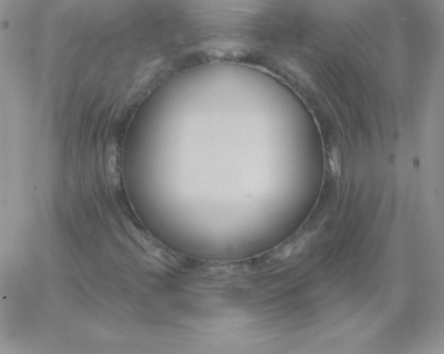 X0000060761396200511241716