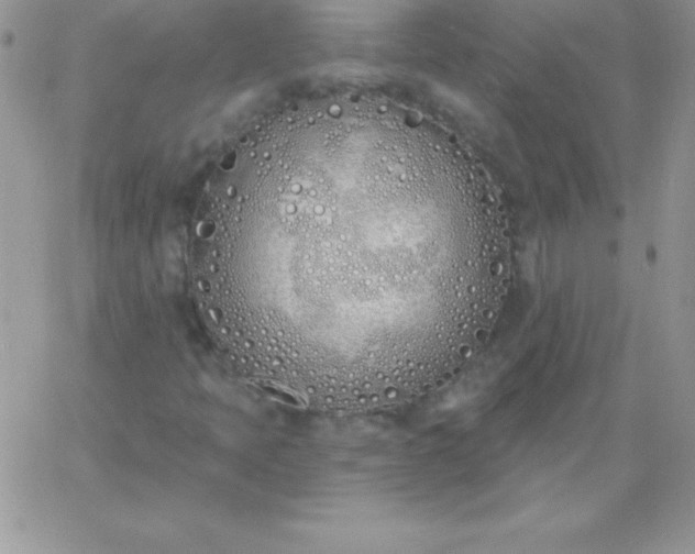 X0000060761397200511241716