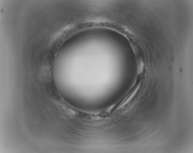 X0000060761398200511241716