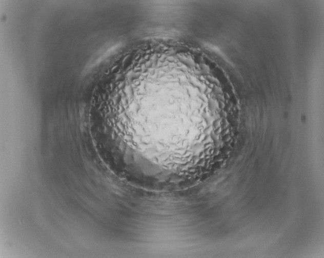 X0000060761399200511241717