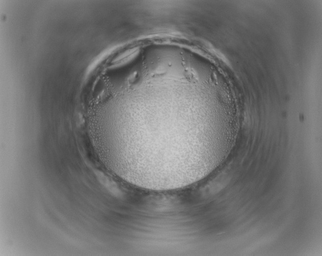 X0000060761400200511241717