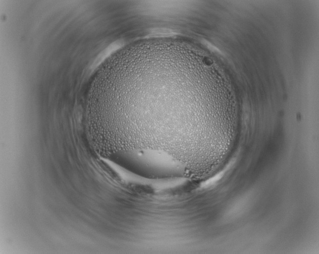 X0000060761401200511241717