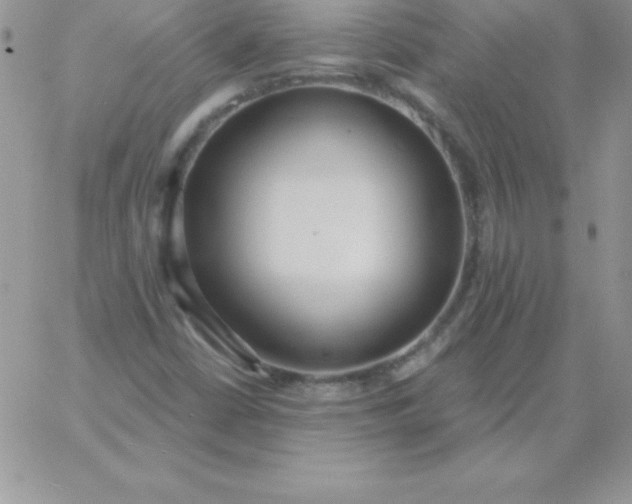 X0000060761402200511241717