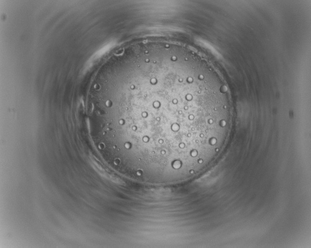 X0000060761403200511241717