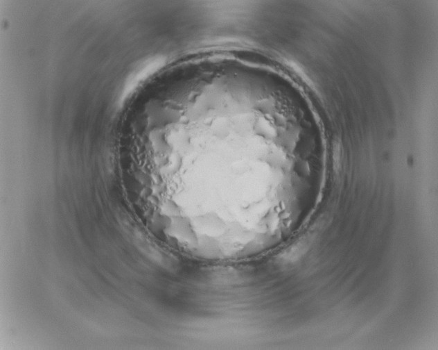 X0000060761405200511241717