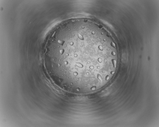 X0000060761407200511241717