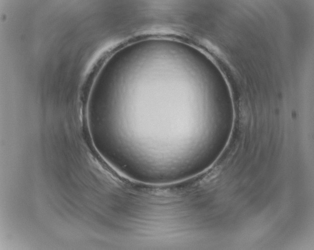 X0000060761408200511241717