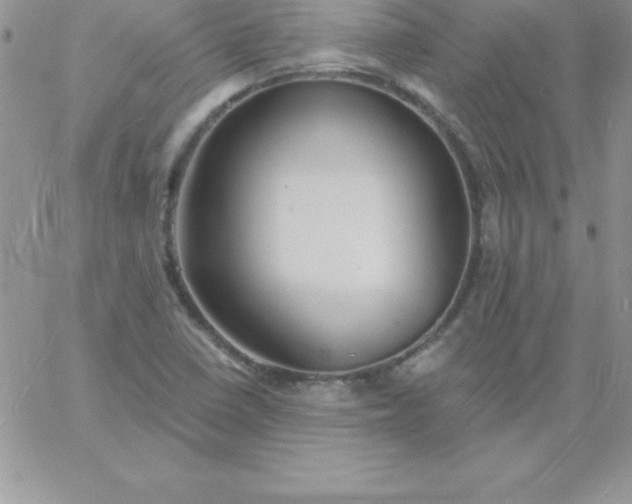 X0000060761410200511241717