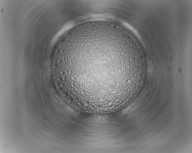 X0000060761411200511241717