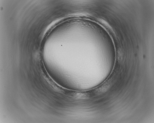 X0000060761412200511241717