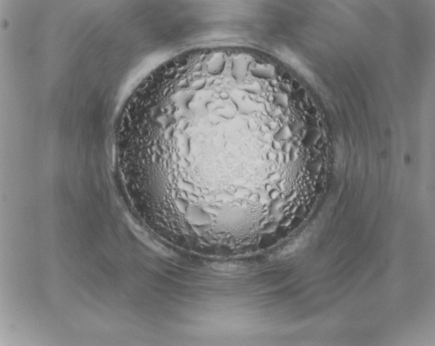 X0000060761413200511241717