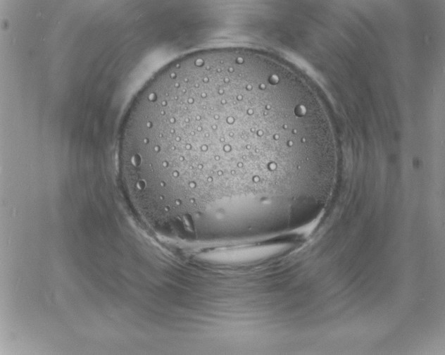 X0000060761415200511241717