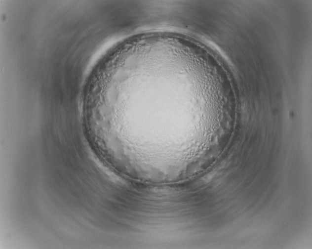 X0000060761416200511241717