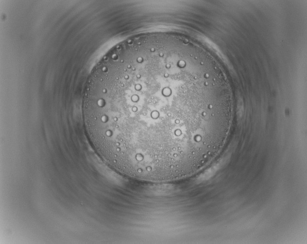 X0000060761417200511241717