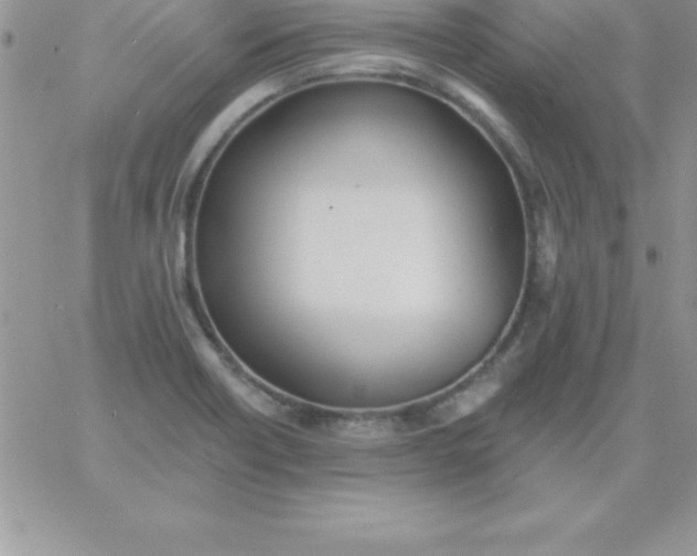 X0000060761418200511241717