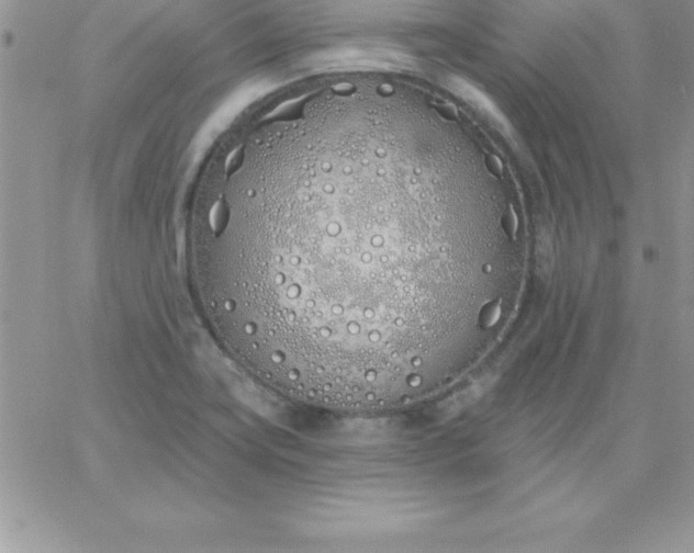 X0000060761419200511241717