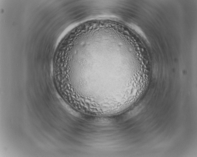 X0000060761420200511241717