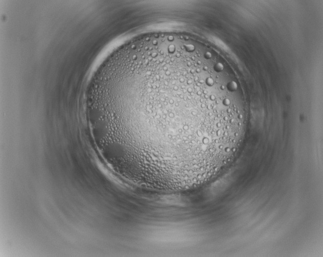 X0000060761421200511241717