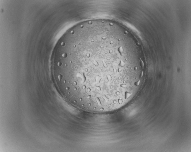 X0000060761423200511241717