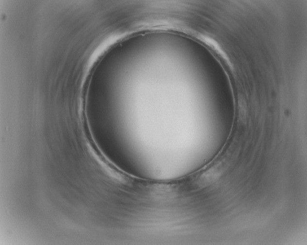 X0000060761424200511241717