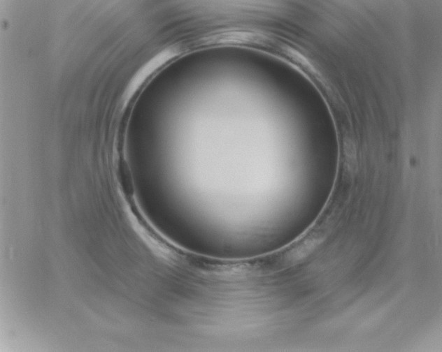 X0000060761426200511241717