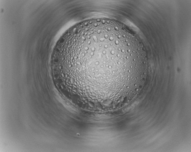 X0000060761427200511241717