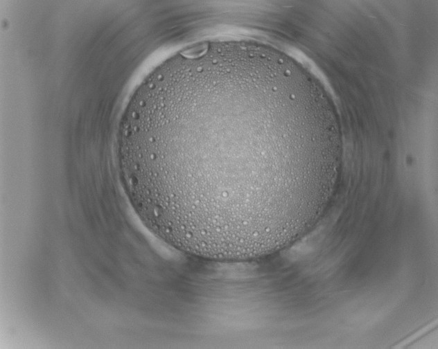 X0000060761429200511241717