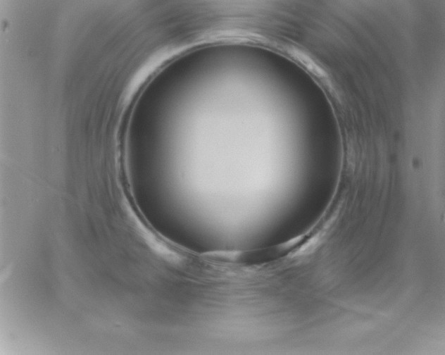 X0000060761430200511241717